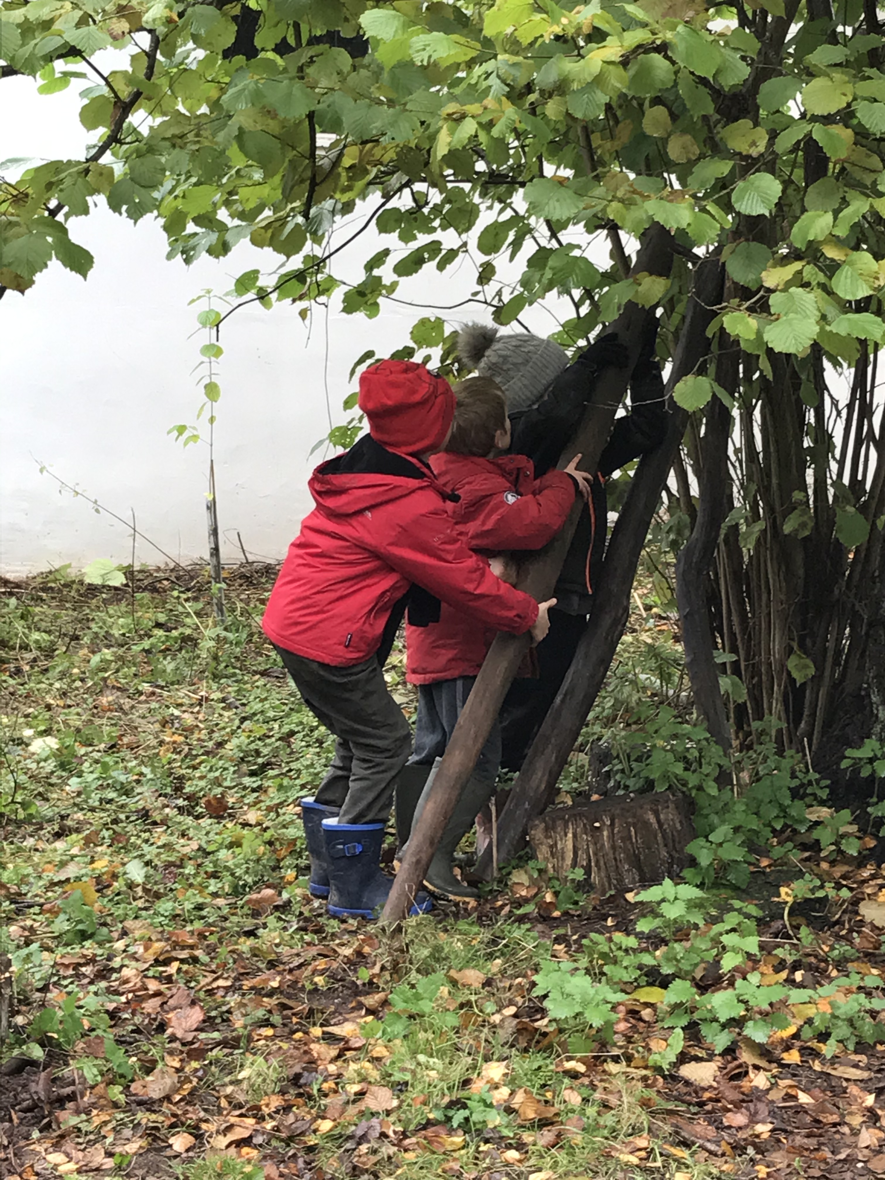 D3673C6B-9256-41A9-AF48-08AA8BD85472