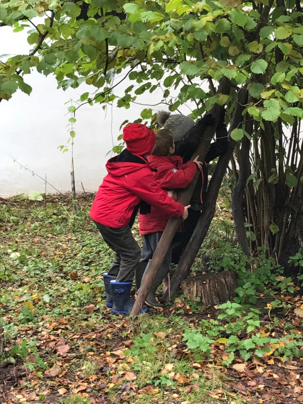 D3673C6B-9256-41A9-AF48-08AA8BD85472