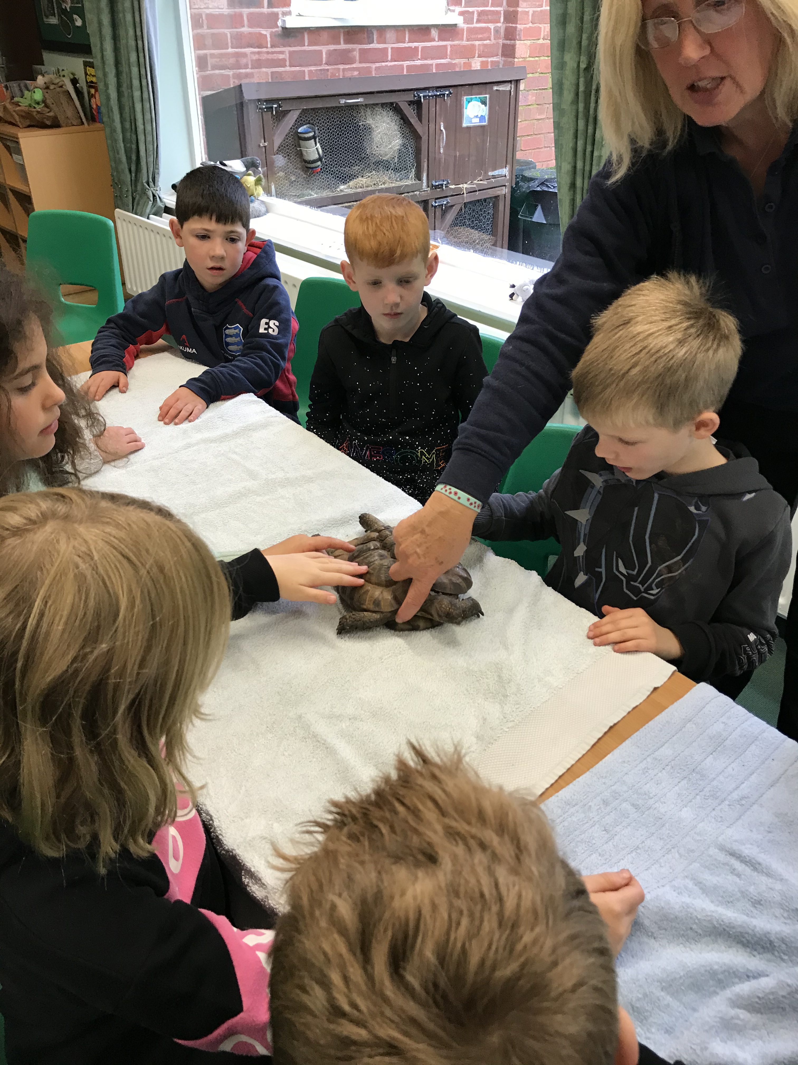 E9E4FB47-2AD3-4C2D-ACE8-C2889C384376