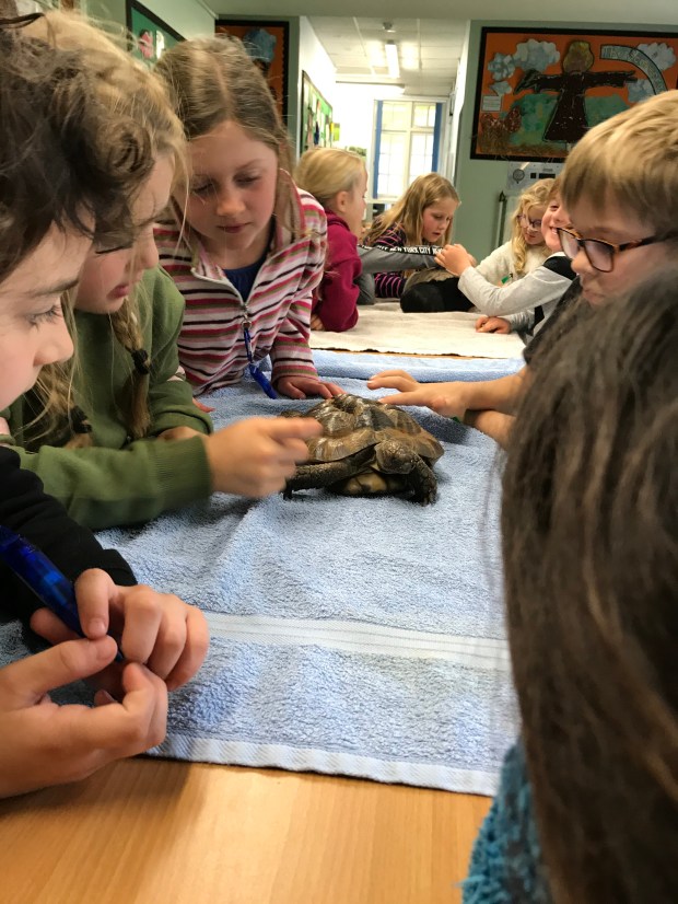 ECA889D8-D9FB-48B1-836A-DFD610D1E87B