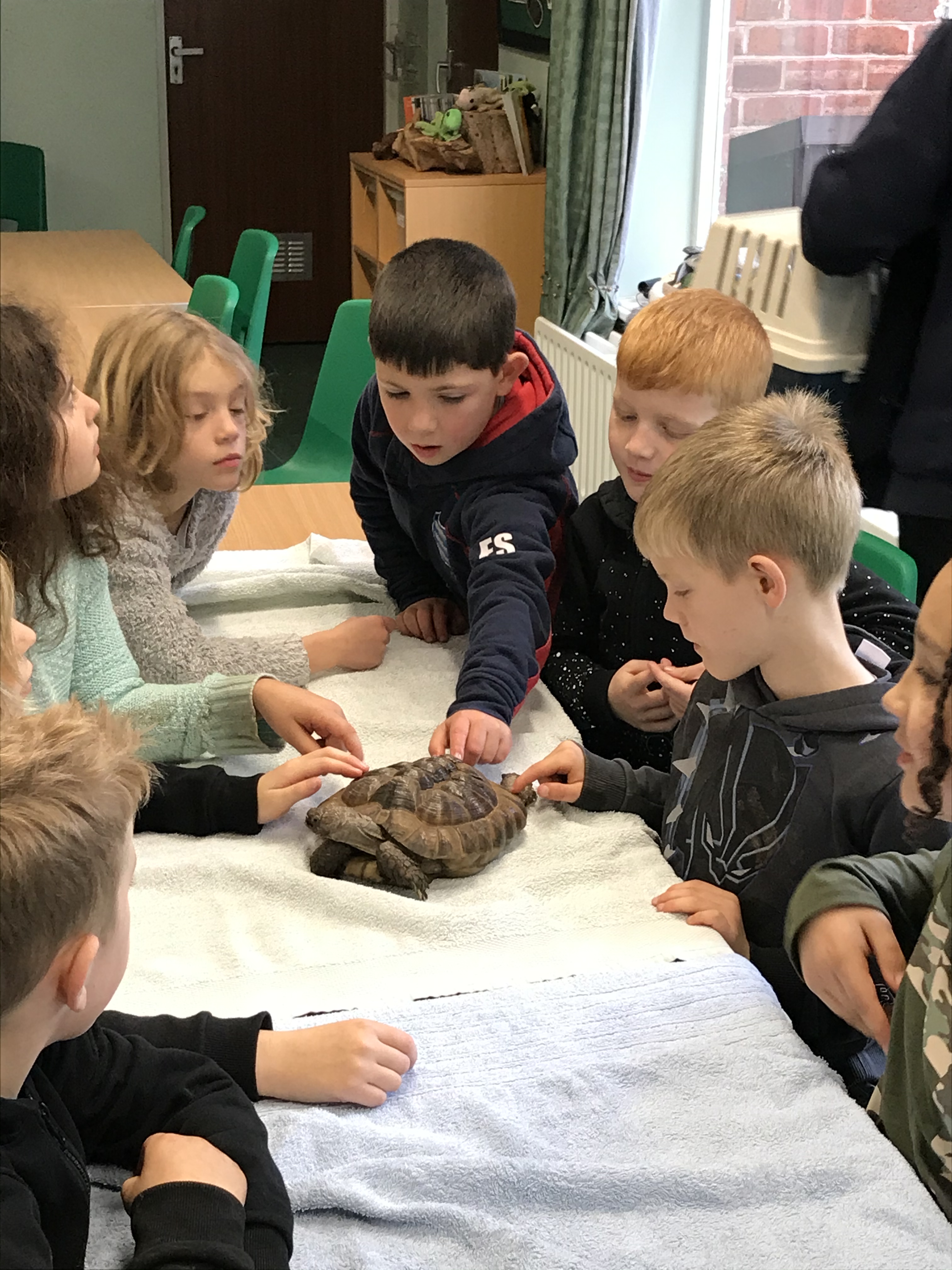 F40221EE-6230-421B-941C-3EE796950AAB