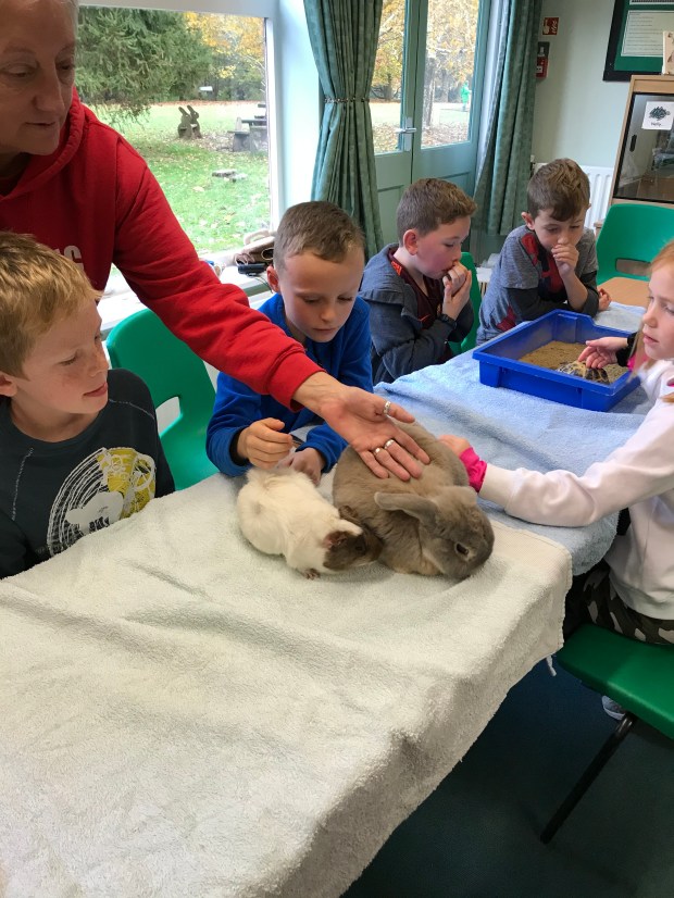 F89DA7B1-D0B1-46AD-B7DC-E5B38B27CCBA